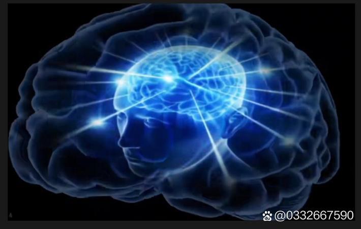 选秀节目惊人内幕：某选手被曝与导师有不正当关系